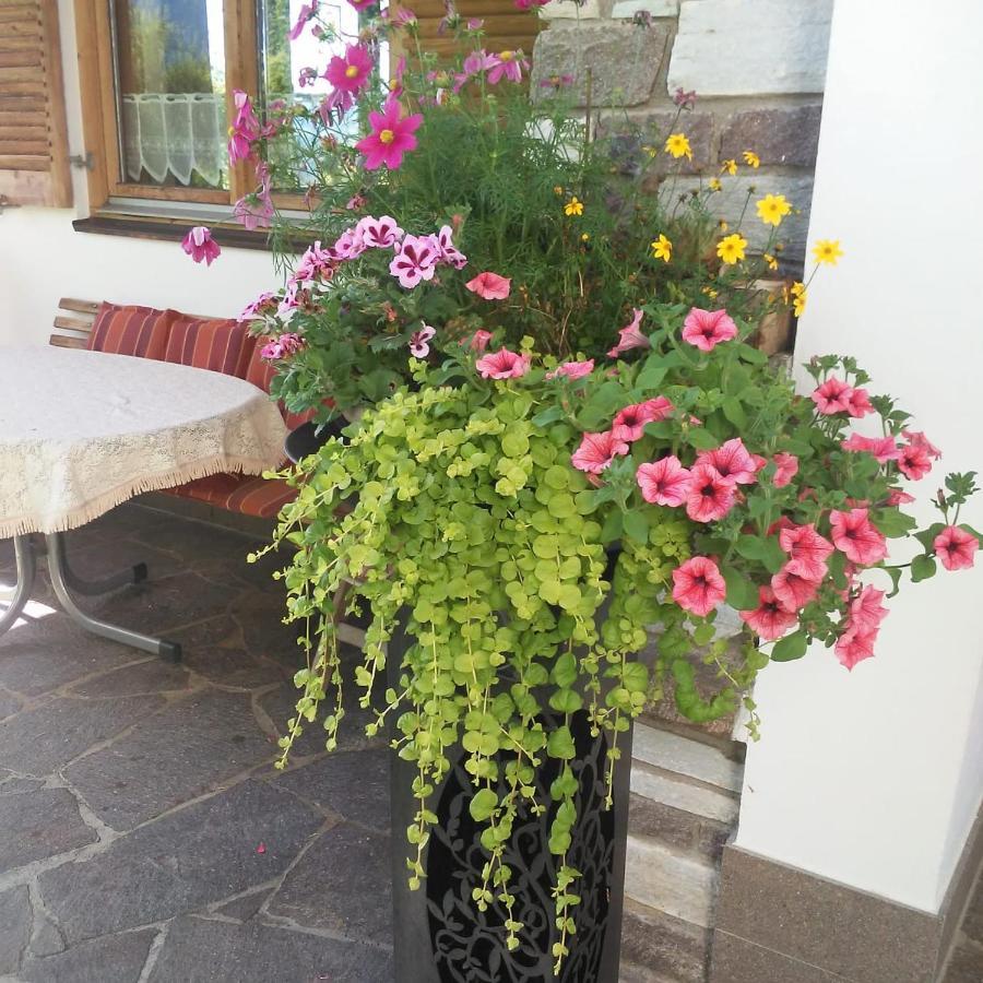 Appartement Haus Glanzern à Westendorf Extérieur photo